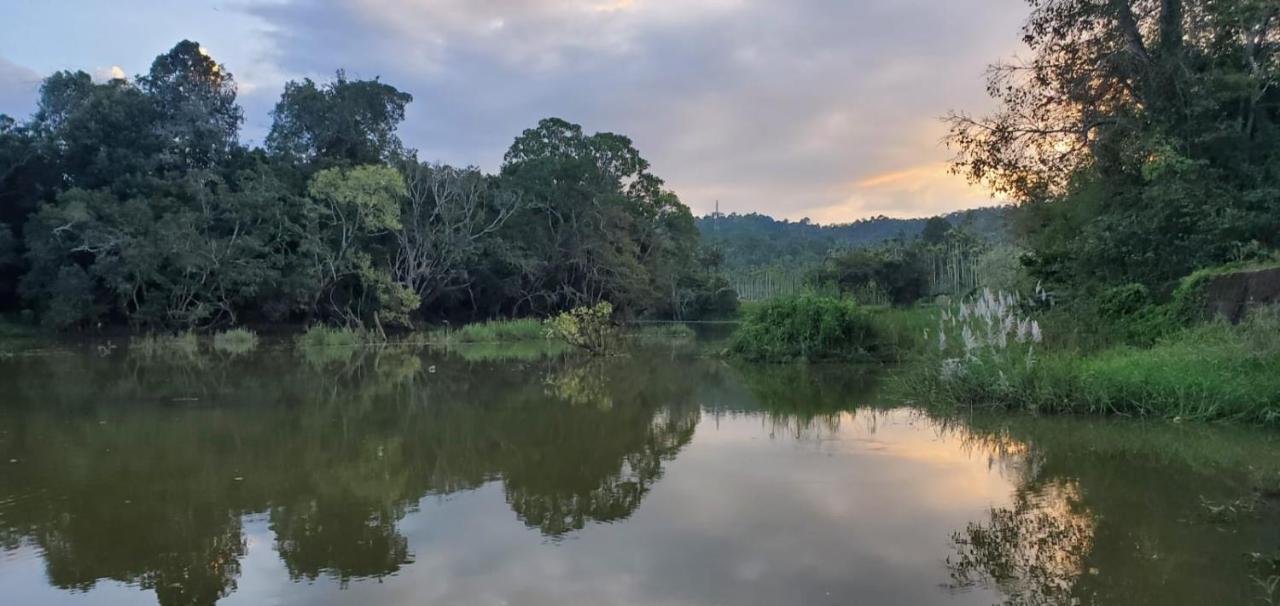Kalidasa Tree House&Villa, Wayanad Chegat Bagian luar foto