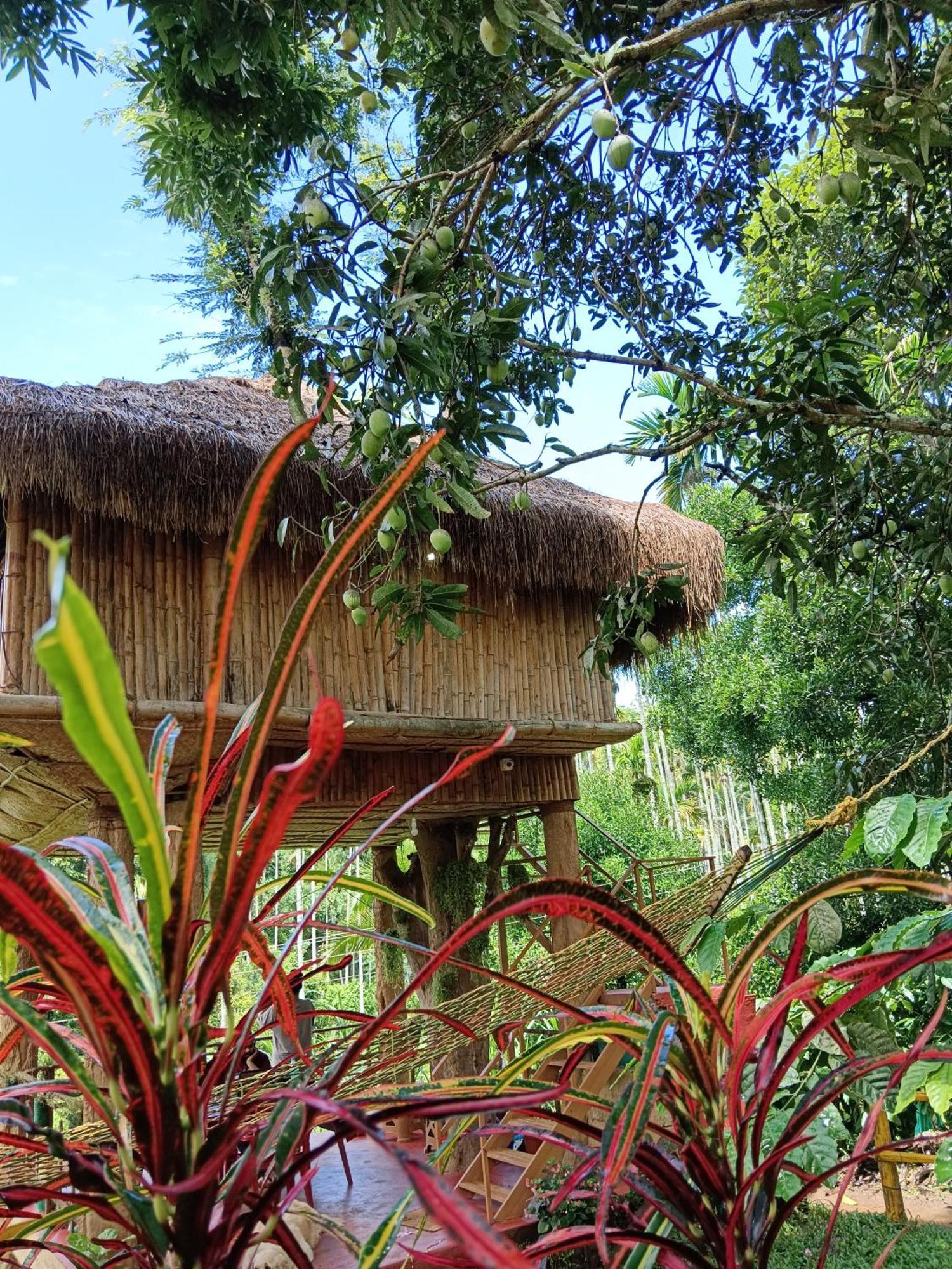 Kalidasa Tree House&Villa, Wayanad Chegat Bagian luar foto
