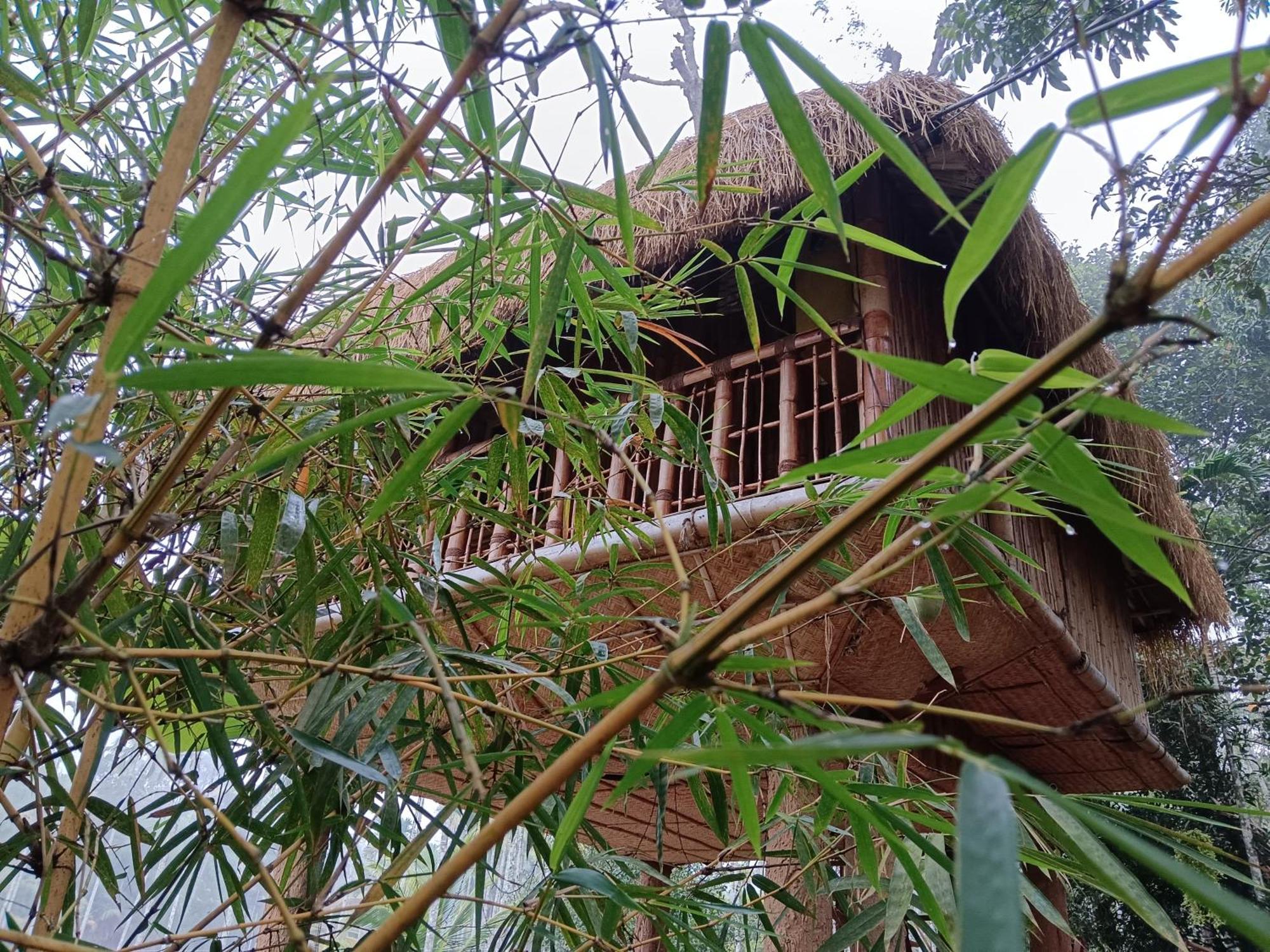 Kalidasa Tree House&Villa, Wayanad Chegat Ruang foto