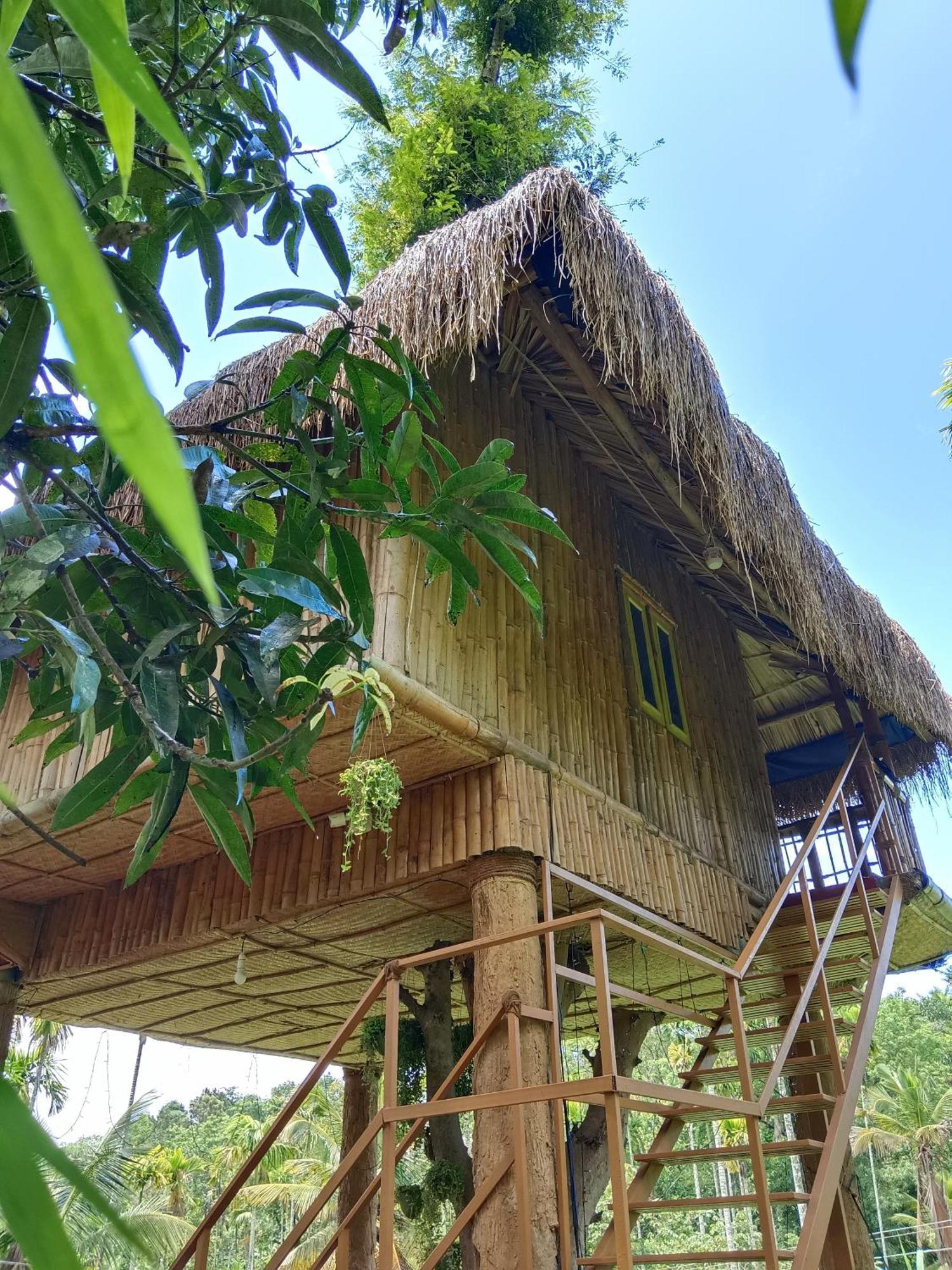 Kalidasa Tree House&Villa, Wayanad Chegat Ruang foto