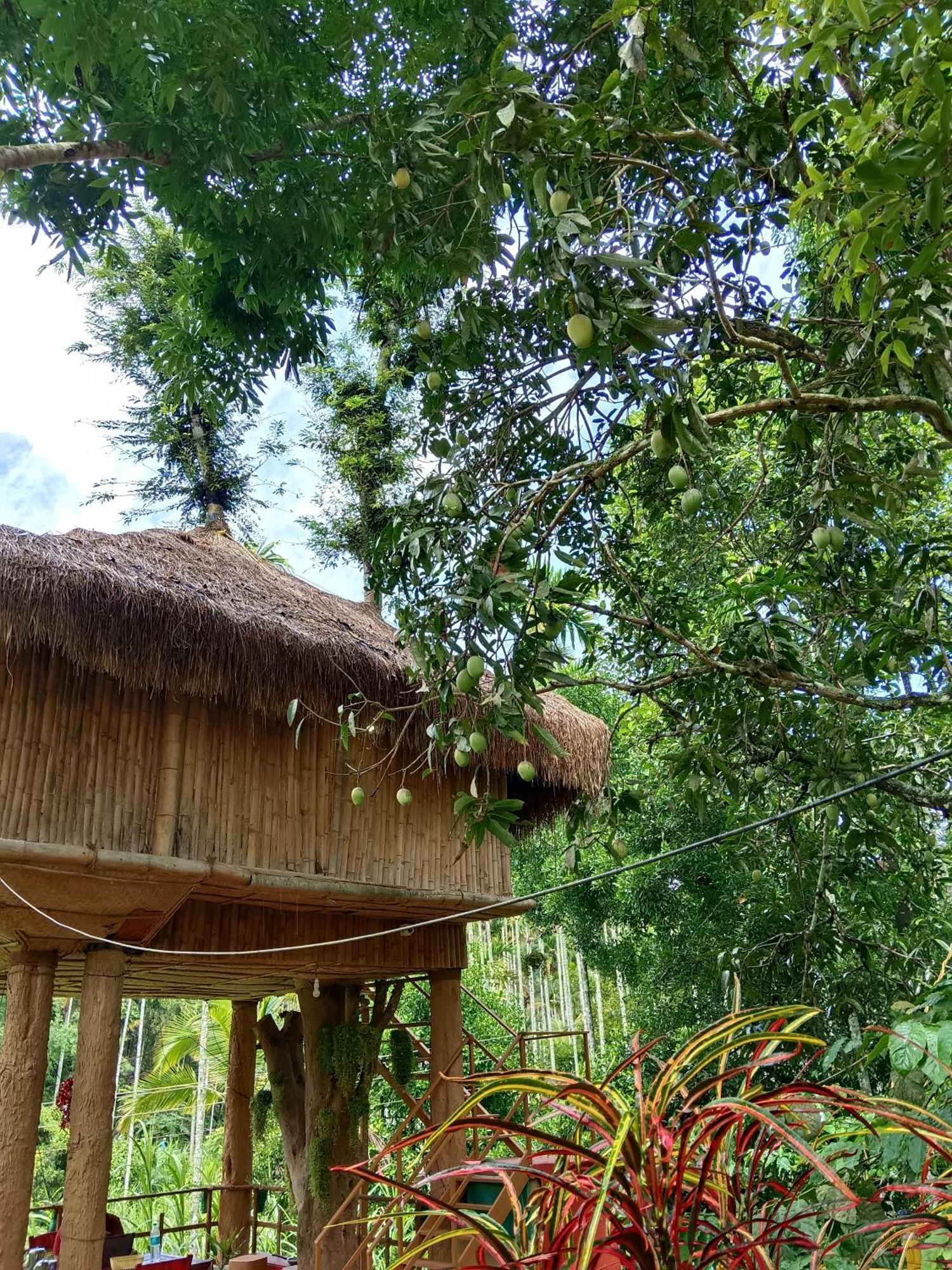 Kalidasa Tree House&Villa, Wayanad Chegat Ruang foto