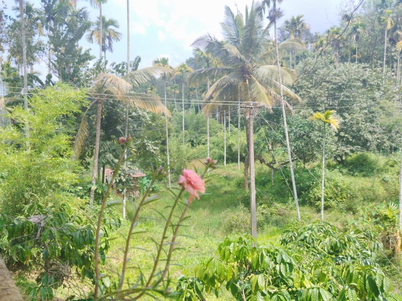 Kalidasa Tree House&Villa, Wayanad Chegat Bagian luar foto