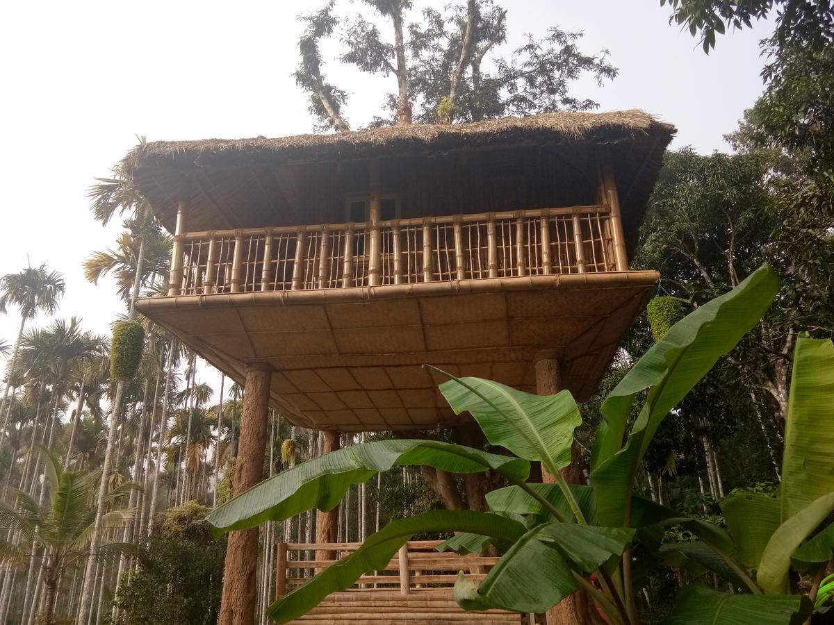 Kalidasa Tree House&Villa, Wayanad Chegat Bagian luar foto